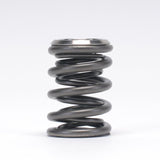 SKUNK2 ALPHA SERIES VALVE SPRING AND RETAINER KIT K SERIES